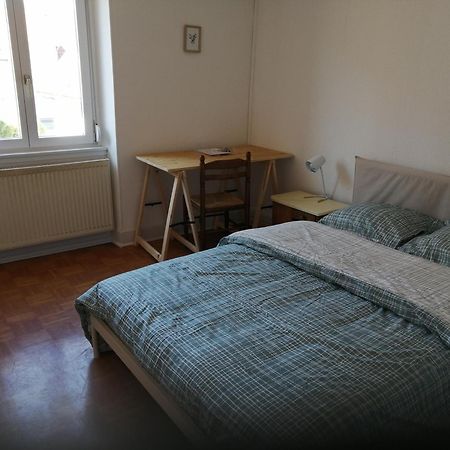 Appartement Entier, Proche Tram-Train Et Commodites, Parking Gratuit 牟罗兹 外观 照片